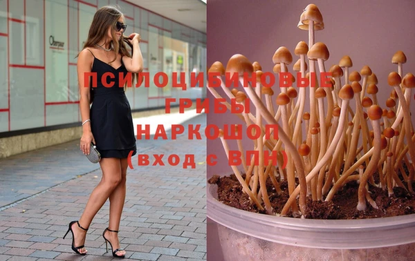 молекула духа Алзамай