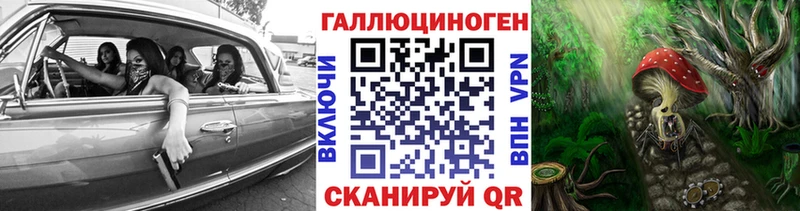 где купить наркоту  Киренск  Галлюциногенные грибы Psilocybe 