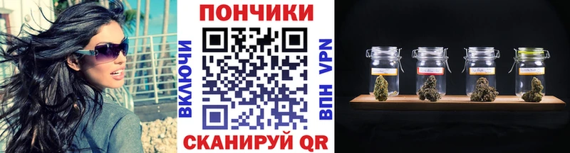 площадка наркотические препараты  где купить наркотик  Киренск  Конопля SATIVA & INDICA 